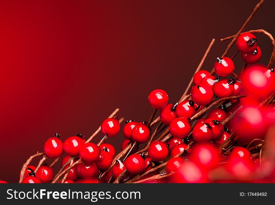 European holly on red background (shallow DOF)