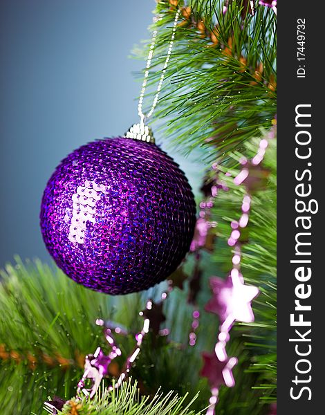 Branch of Christmas tree with festive ball