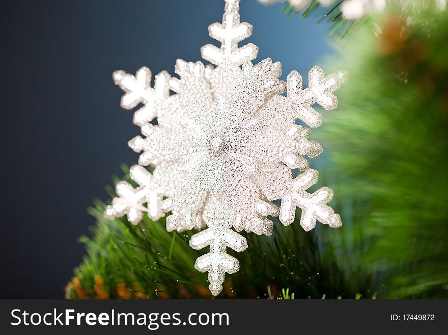 Branch of Christmas tree with snowflake