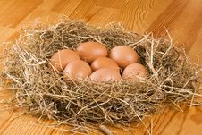 Fresh Eggs In Hay Stock Images