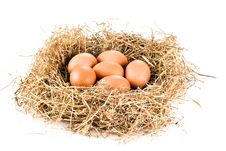 Fresh Eggs In Hay Royalty Free Stock Photography Fresh Eggs In Hay Royalty Free Stock Photography