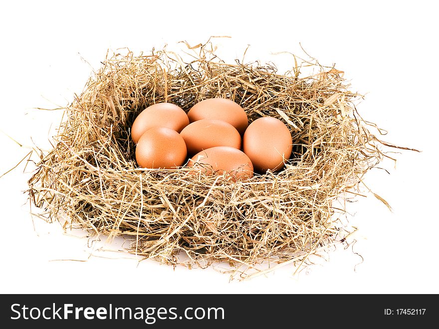 Fresh farm eggs in hay over white background. Fresh farm eggs in hay over white background