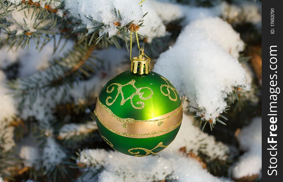 Christmas decoration on fir branch outdoors