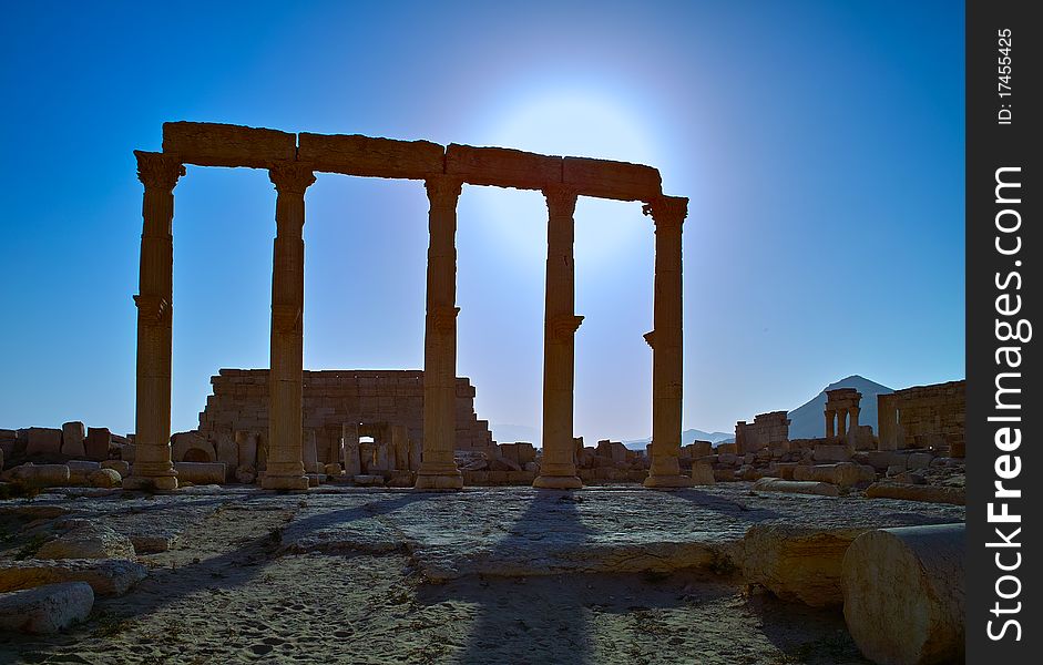 Pillars in the Sun Palmyra Syria