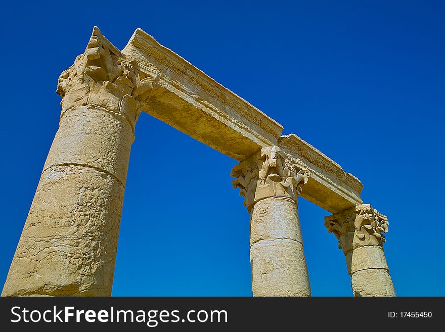 Pillars in the Sun Palmyra Syria