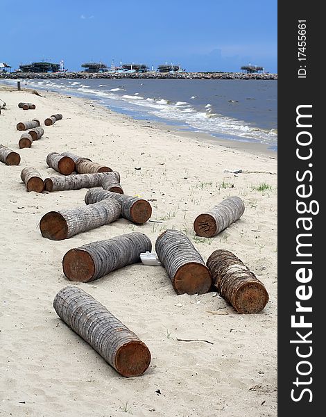 Timber on the beach ,thailand