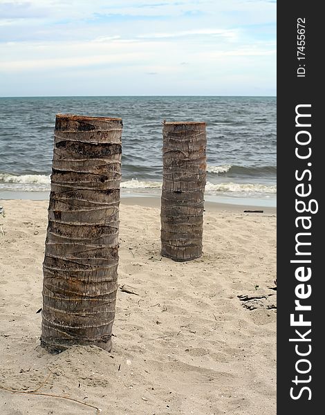 Timber on the beach ,thailand