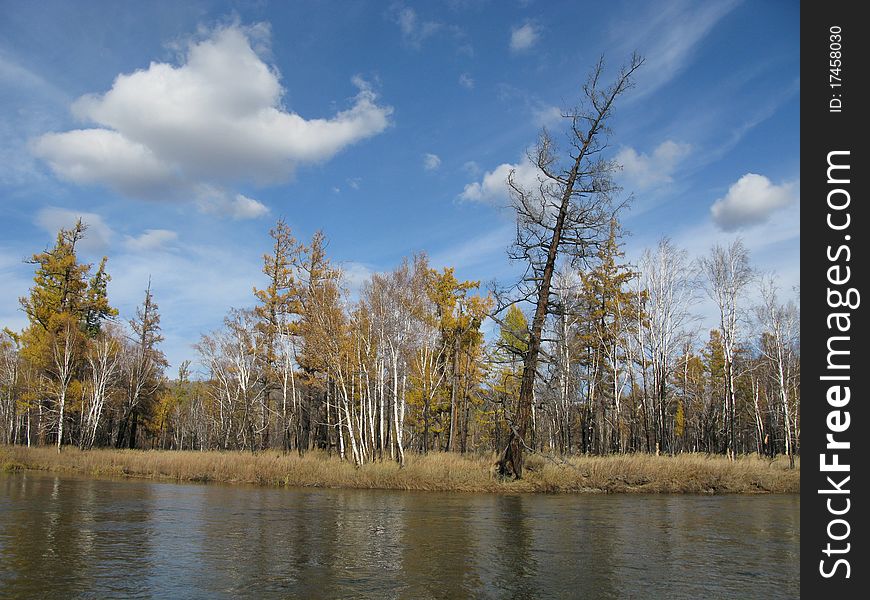 River on mongolian wild nature