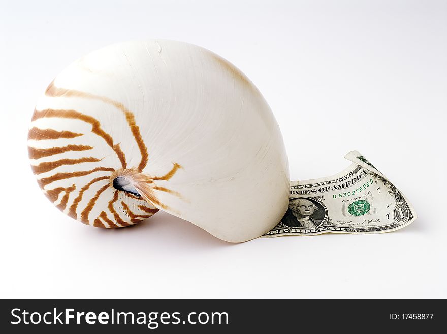 Snail money