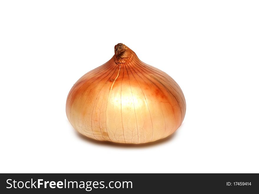 Onion on a white background. Onion on a white background