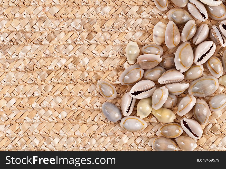 Sea Shell Background Image On Wicker