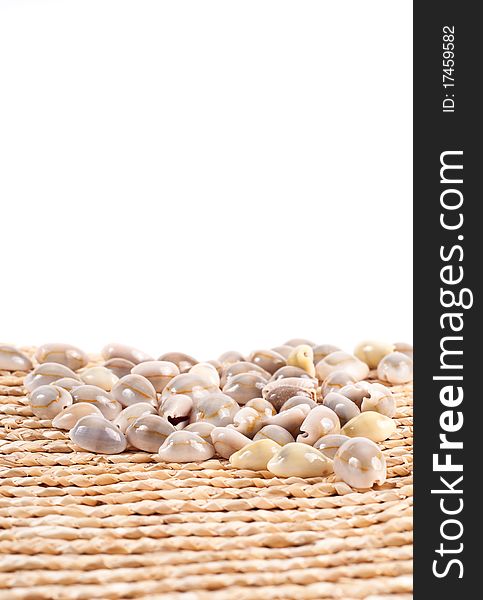 Shells on a Basket with Space for Text