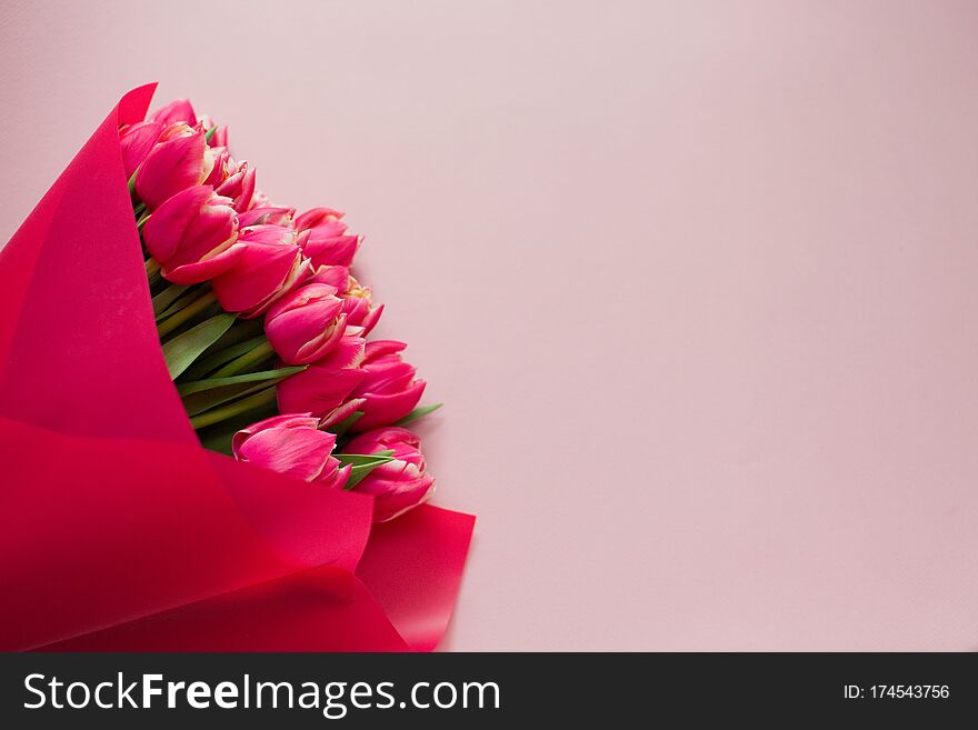 Bright bouquet of red tulips in wrapping paper on pink background