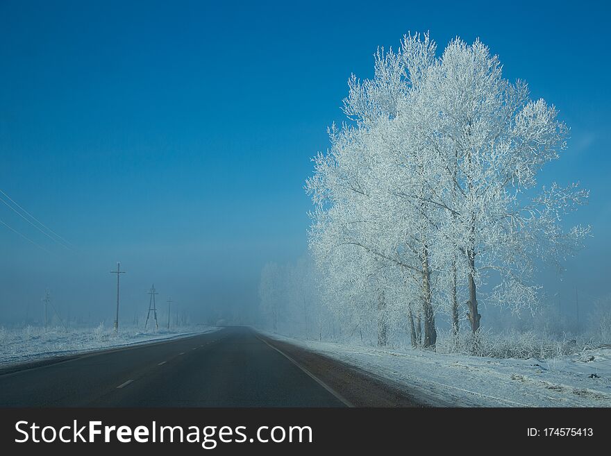 Snowy Tree Near The Highway. Country Highway In Winter