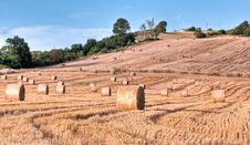 Hay Bales In Early Morning Royalty Free Stock Photography Hay Bales In Early Morning Royalty Free Stock Photography
