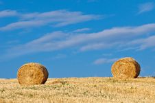 Golden Hay Bales In Field Royalty Free Stock Image Golden Hay Bales In Field Royalty Free Stock Image