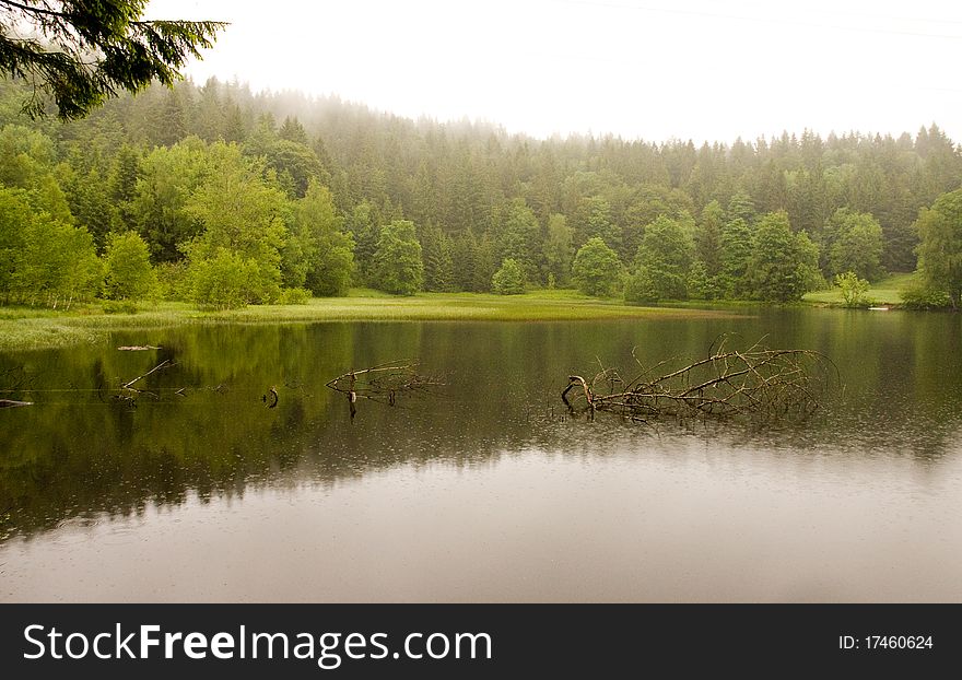 Rain and fog at a forest lake in the Black Forest. Rain and fog at a forest lake in the Black Forest