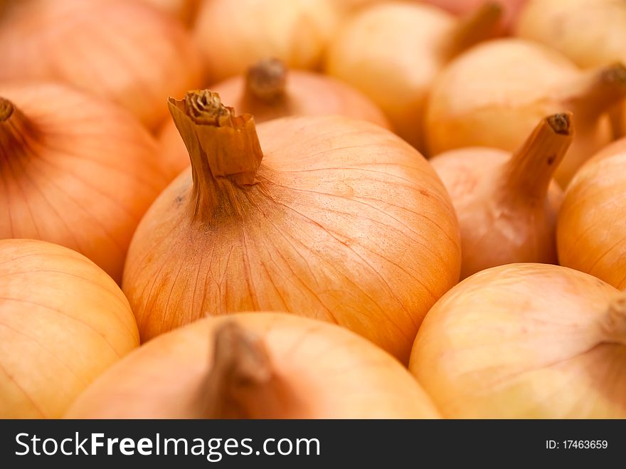 A background of many ripe orange onions. A background of many ripe orange onions