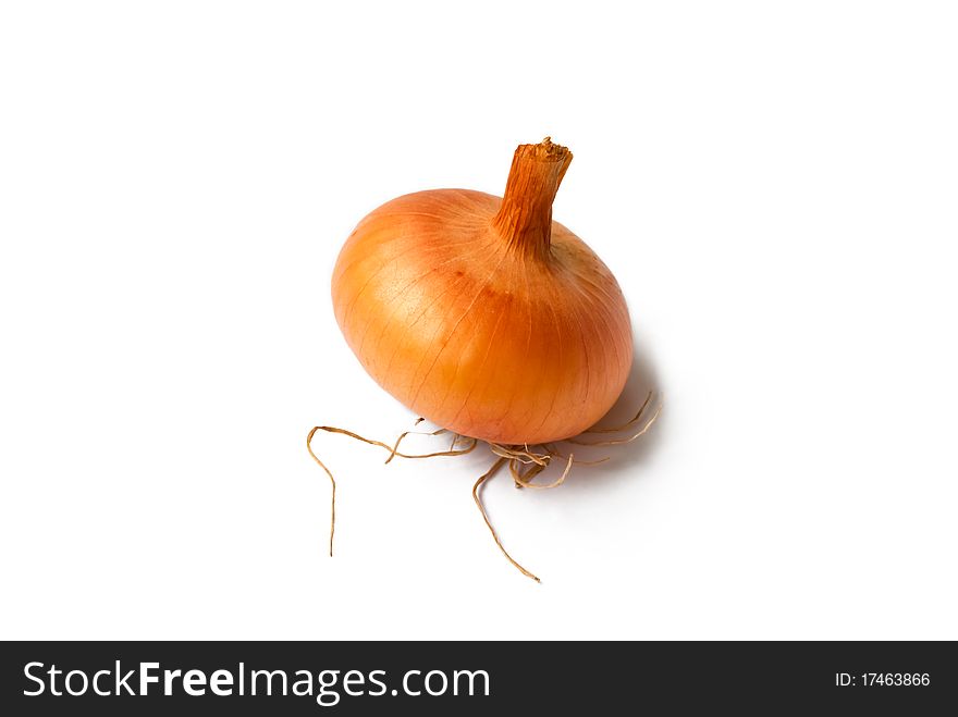 An onion bulb isolated on white background