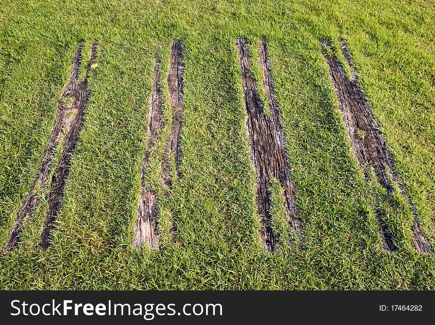 Grass growing along wooden walkway