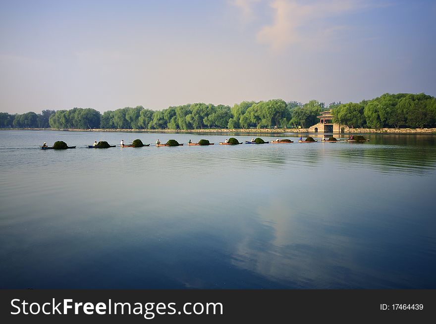 Every autumn,people always get rid of weeds in the Sunmmer Palace lake . Every autumn,people always get rid of weeds in the Sunmmer Palace lake .