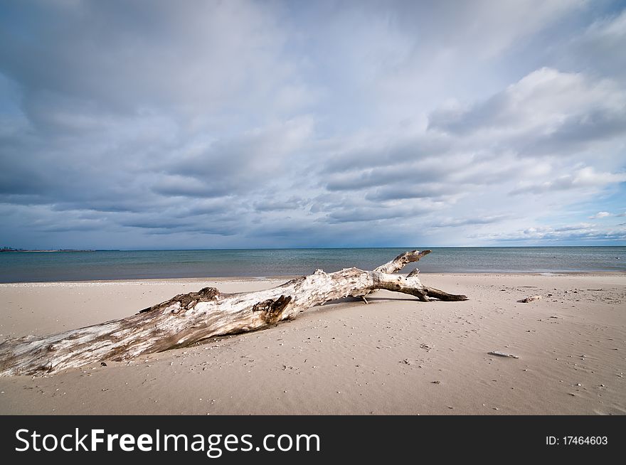 Driftwood lies on a sandy beach with dark clouds overhead. Driftwood lies on a sandy beach with dark clouds overhead.