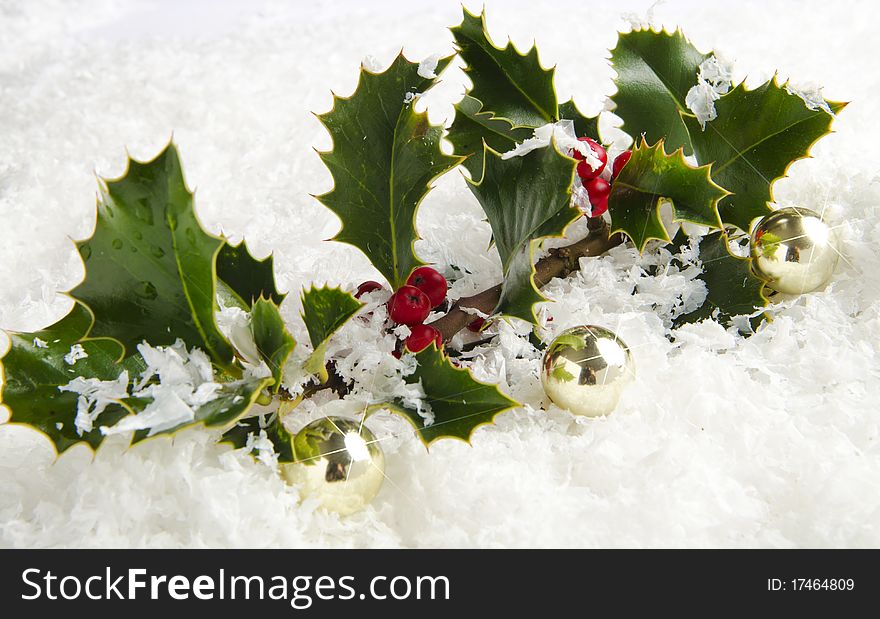 Holly with red berries in snow with sparkling background
