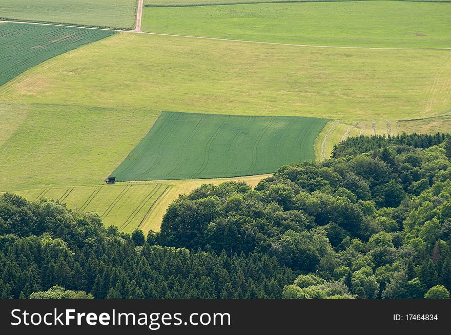 Forest and grassland in summer in the Black Forest seen with birds eye view. Forest and grassland in summer in the Black Forest seen with birds eye view