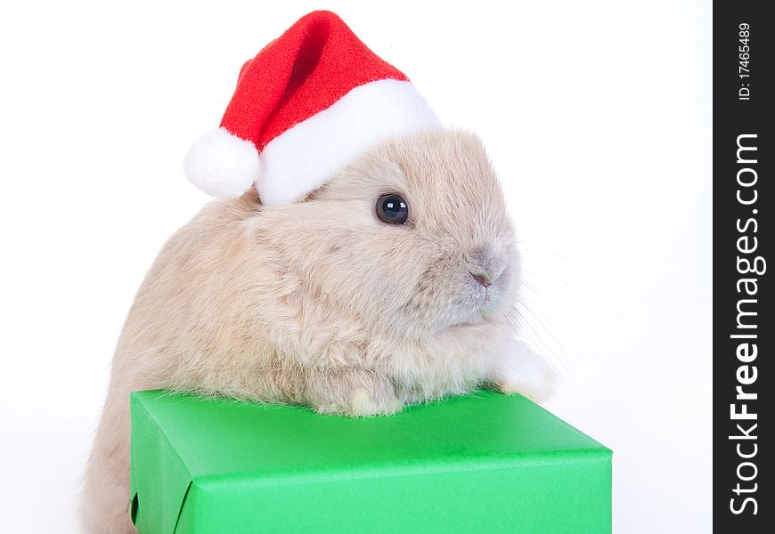 Brown rabbit in santa hat and a christmas box, isolated on white. Brown rabbit in santa hat and a christmas box, isolated on white