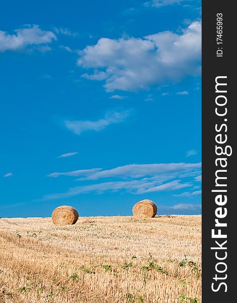 Hay bales  on horizon of summer field in early morning - portrait format. Hay bales  on horizon of summer field in early morning - portrait format