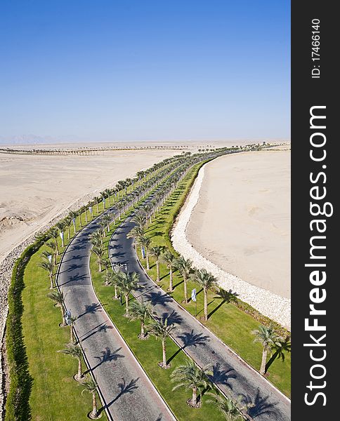 Dual carriageway road lined with palm trees through a desert. Dual carriageway road lined with palm trees through a desert