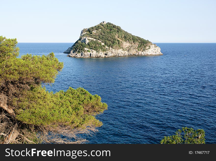 Island bergeggi among the pines