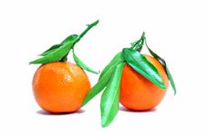 Tangerine Royalty Free Stock Images Tangerine Royalty Free Stock Images