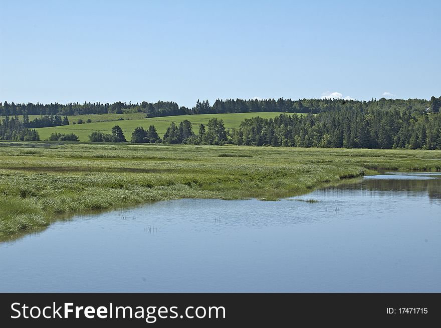 This field of crops was so serene and peaceful with the river along for added pleasure. This field of crops was so serene and peaceful with the river along for added pleasure.