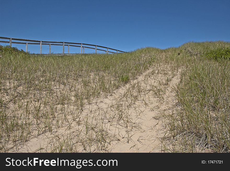 This sand dune was a challenge to climb, could of used the walkway above, but slipping was more fun.