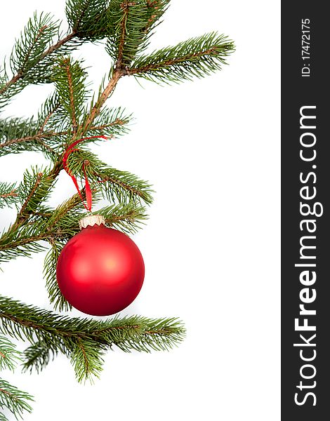 Christmas tree branches border green. Christmas tree branches border green