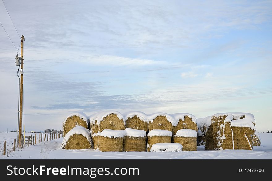 A lonely hawk sits on a telephone pole next to some round hay bales at a farm in Montana. A lonely hawk sits on a telephone pole next to some round hay bales at a farm in Montana.