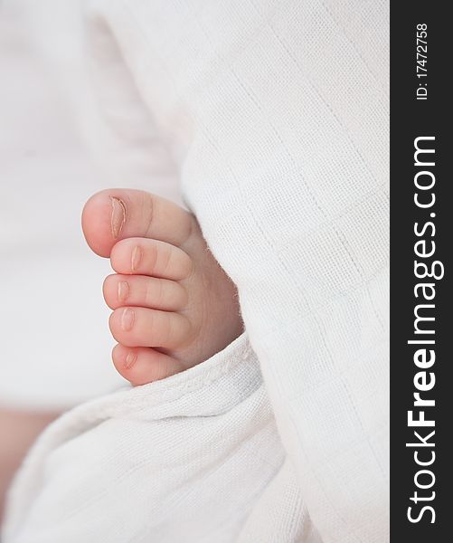 Baby Leg, Toes, White Surround