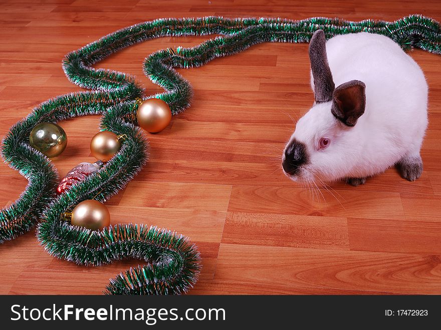 White rabbit on wooden to a floor and Christmas-tree decorations. White rabbit on wooden to a floor and Christmas-tree decorations