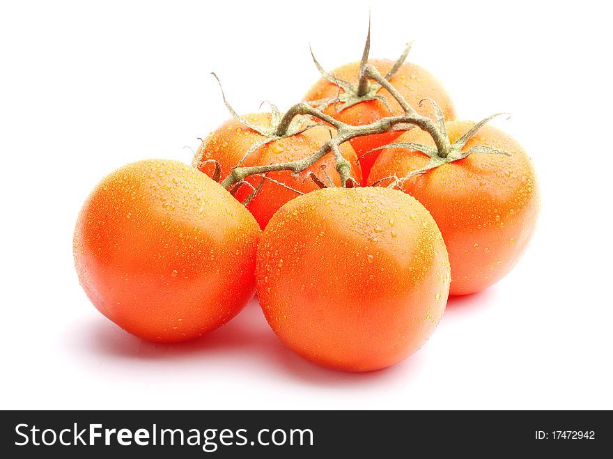 Tomatoes covered with dew, isolated on white background