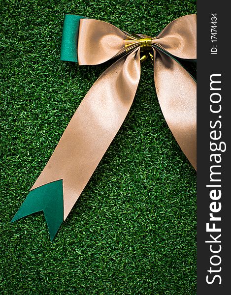 Gift Bow on green grass background