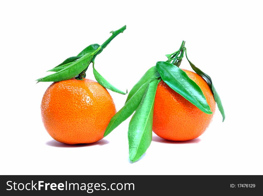 Two tangerine with a few green leaves - white background