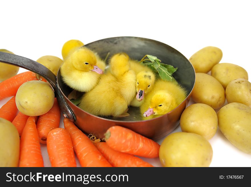 Duck Saucepan Two