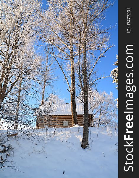 Rural house amongst snow tree
