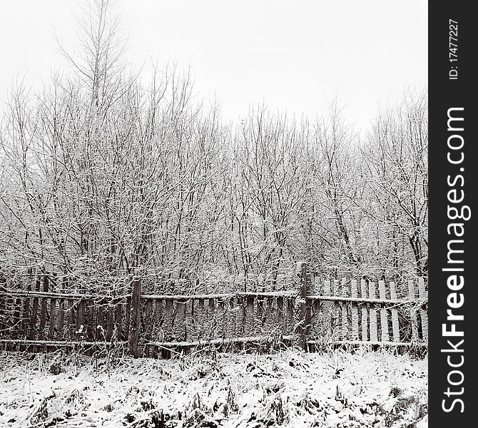 Old fence in a snowy forest