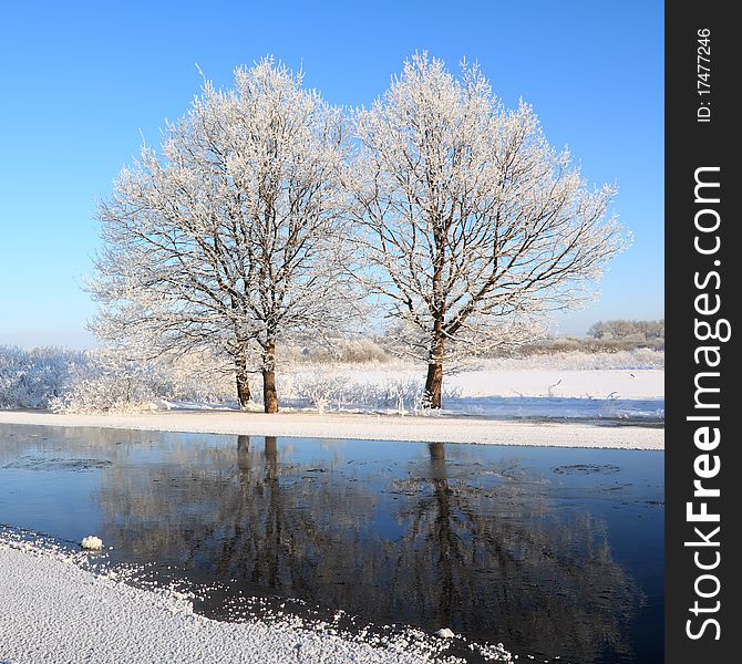 Oak wood on coast river