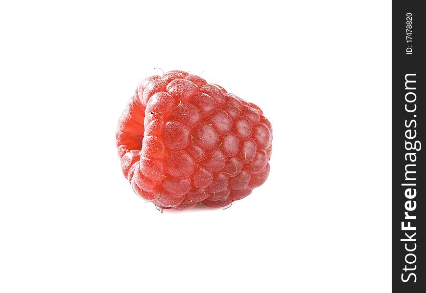 One isolated pink raspberry on the white background