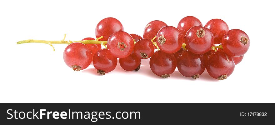 Bunch of red currant on the white background