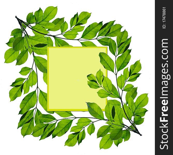 Green Leaf Frame Isolated