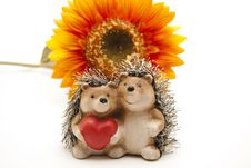 Hedgehog Pair With Heart Stock Photo Hedgehog Pair With Heart Stock Photo